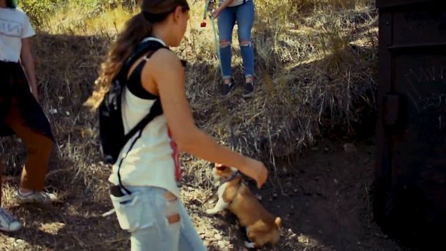 The 18 Film смотреть онлайн