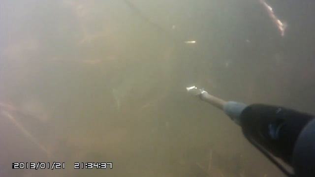 Секретное место, где всегда можно взять рыбу! смотреть онлайн