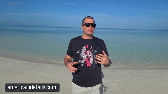 Подал на политическое убежище и выиграл в лотерею GreenCard. Как быть?