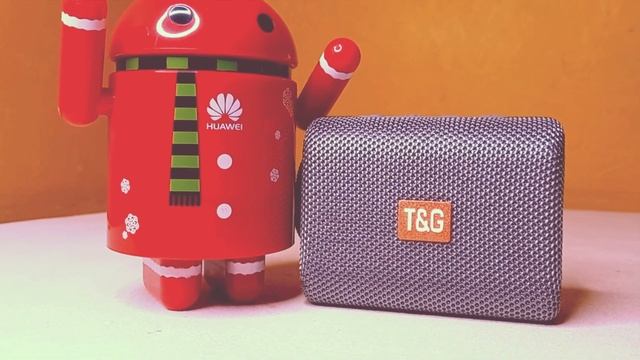 T&G TG 313 Full Review - Fast Unboxing and Extensive Sound Testing