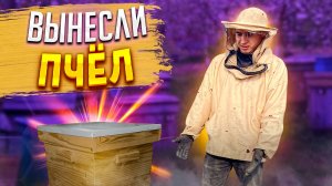 ВЫНЕСЛИ ПЧЕЛ С ЗИМОВКИ_ОСМОТР УЛЬЕВ ПОСЛИ ЗИМЫ_ПЧЕЛЫ УМЕРЛИ (720p)