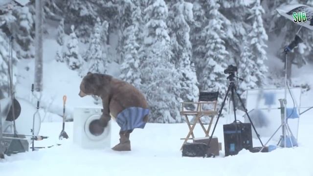 Huge Bear Surprises The Film Crew At Samsung EcoBubble Washing Machine Shoot смотреть онлайн