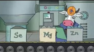 Амикс. Производство премиксов