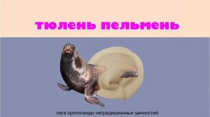 ТЮЛЕНЬ-ПЕЛЬМЕНЬ / SEAL PELMEN