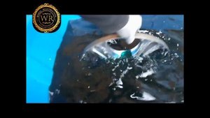 Как снять хром с дисков ?