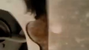 слетел ремень генератора Сандеро