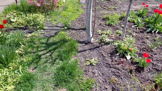 Весенние радости! смотреть онлайн