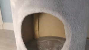 домик для кошки