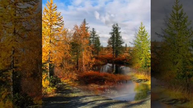 Амурская осенняя охота смотреть онлайн