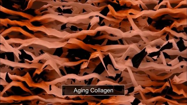 How Hifu Works смотреть онлайн