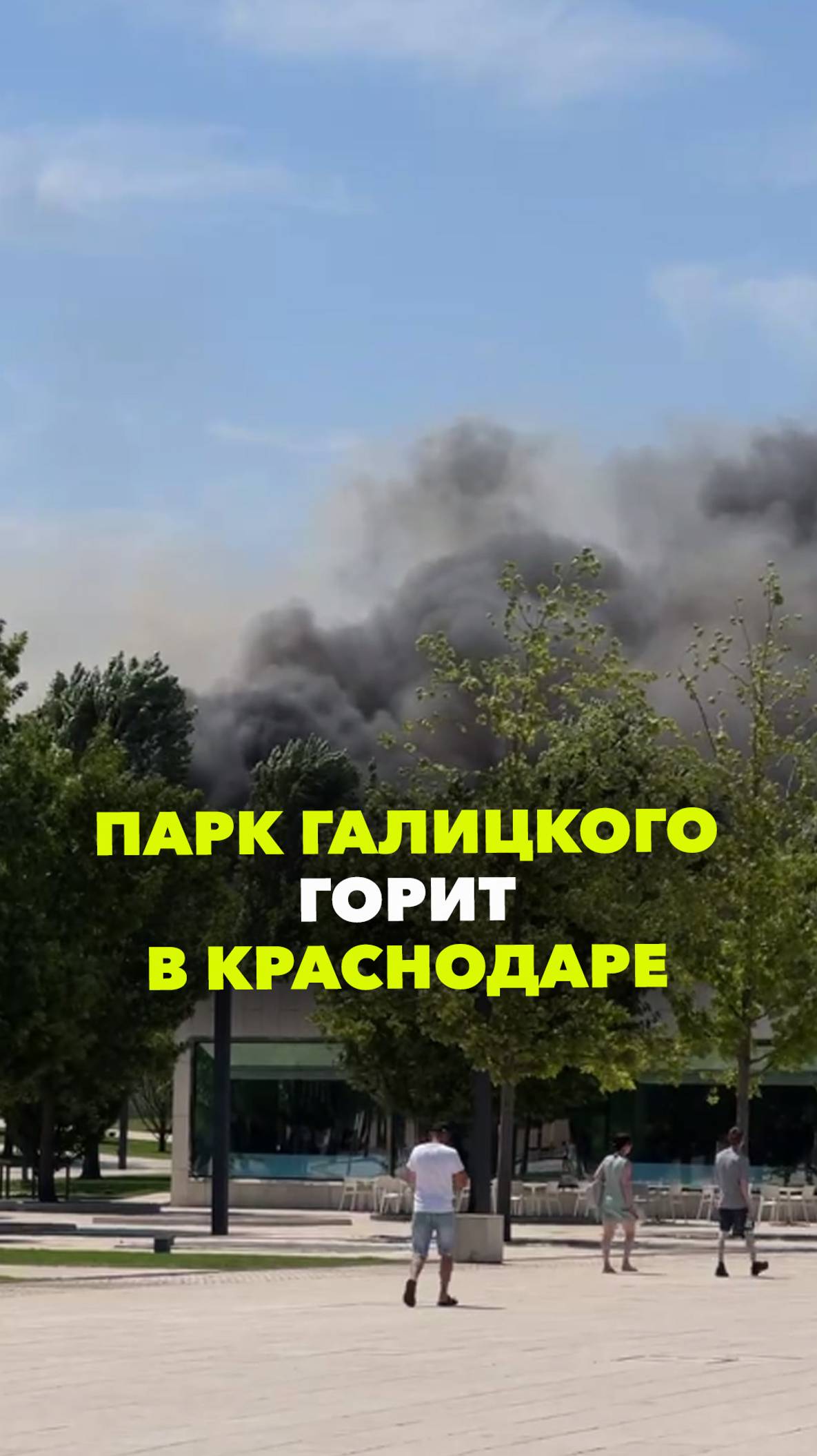В Краснодаре горит парк Галицкого