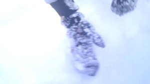 Найден метеорит. Как искать метеориты!