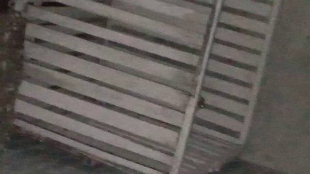 Очень большой паук в погребе!!!??? смотреть онлайн