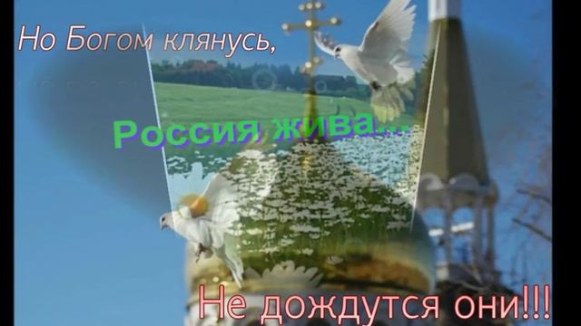 Стихотворение Ю.Г. Михеева "Россия" смотреть онлайн