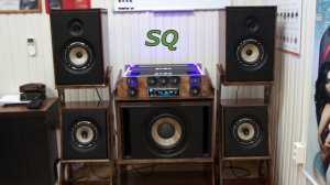 Focal Flax,акустика+саб и усилители STEG тест