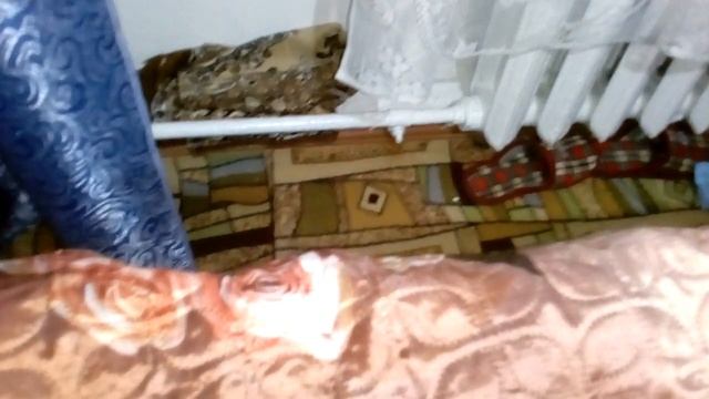 Как избавиться от клопов за 3 минуты!.