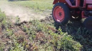 Косим Косилкой КС 2.1 ботву картофеля (2020)