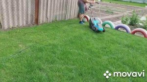 СТРИЖКА РУЛОННОГО ГАЗОНА