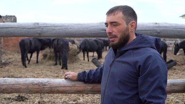 Сельский кластер (16.11.2022)