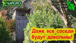 НАВОЗ БЕЗ ЗАПАХА, БРОДИЛОВКА и ТУАЛЕТ БЕЗ АРОМАТОВ: это возможно? ДА! Просто и бесплатно.