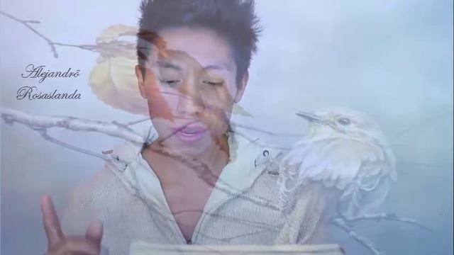 Seguiré Pensando En Ti - Alejandrö Rosaslanda смотреть онлайн