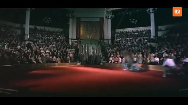 Медведь Гоша смотреть онлайн