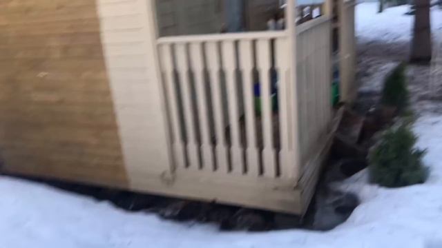 Моя любимая дача 28 марта 2021.❤️ Снега по колено! Откапываю хвойные. Сезон открыт!❤️ смотреть онлайн