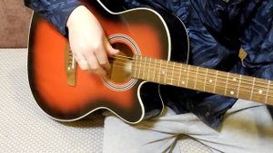 Акустическая гитара Trembita FDG-20