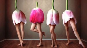 «Жизнь, полная любви» Клаус Дж  Джоул