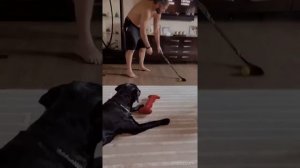 Александр Овечкин сыграл с 1,5-годовалым сыном в хоккей (02.01.19)