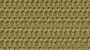 СТЕРЕО КАРТИНКИ 3D (типа упражнение для глаз)ЗАМЕДЛЕННАЯ