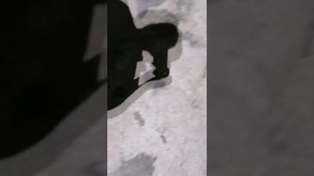 Самодельные стрелы для рыбалки с рогаткой. смотреть онлайн