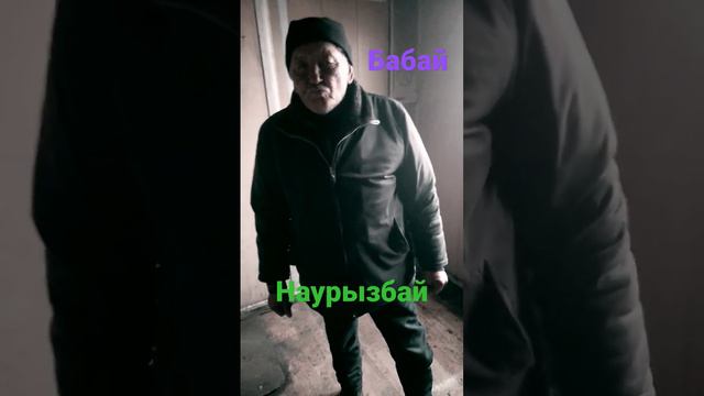 Наурызбай в законе