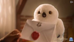 Интерактивная Сова Гарри Букля/Wizarding World/6061829