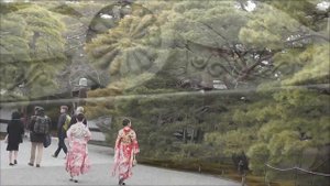 Япония. Императорский Дворец в Киото.  Золотой Павильон и Храм Тодзи