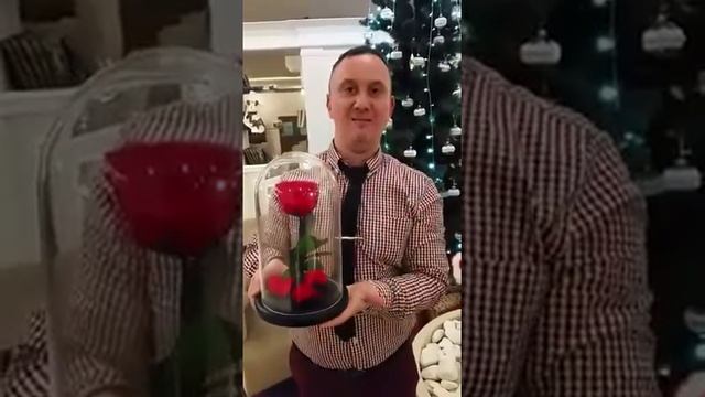 Роза в колбе Оптом и в Розницу (ОТЗЫВ)
