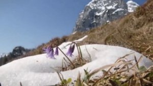 Ремонт кухни 7.5 метров | Часть 1 | Что было вначале, дизайн-проект.