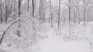 #Ледяная #вьюга #Владимир #Песня