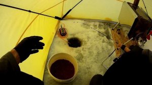 ПОДЛЕДНЫЙ ФИДЕР