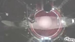 Травма Романа Курцына