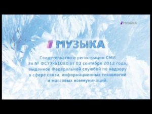 Новогоднее свидетельство о регистрации (Музыка Первого, 2014-2015)