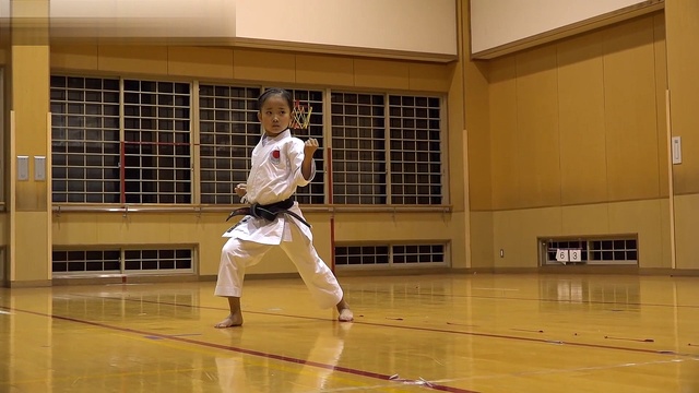 Маленькая девочка показывает виртуозную технику каратэ смотреть онлайн