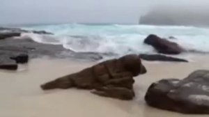 Брак, развод, повторный брак. Дерек Принс