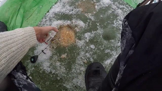 ОПУСТИЛ КАМЕРУ , А ТАМ!РЫБАЛКА НА ЧЕРНОВСКОМ ВОДОХРАНИЛИЩЕ!