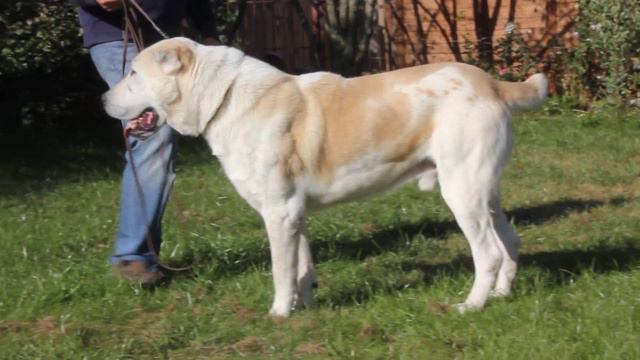 MVI 7792 смотреть онлайн