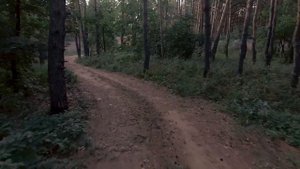 Главные Минусы Аренды Лесного Участка. Лесной участок: минусы, которые лучше знать.