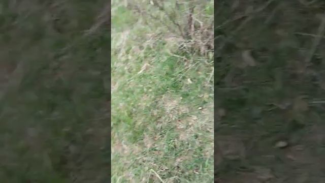 Муравей diesel тюнінг смотреть онлайн