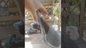 Как закинуть чучело вяхиря на провода 2