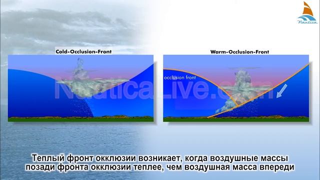 12   Фронт окклюзии
