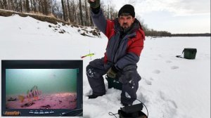 КАК НА ОБИ КЛЮТ ОКУНЯ !!! Рыбалка на Оби ( Сузун ) 25 января 2024г.